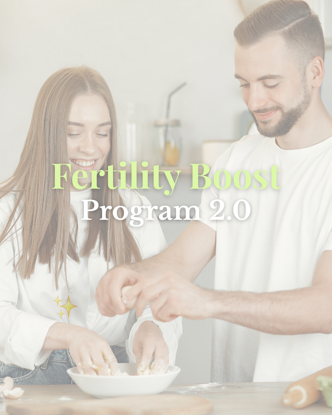 Fertility Boost Program 2.0