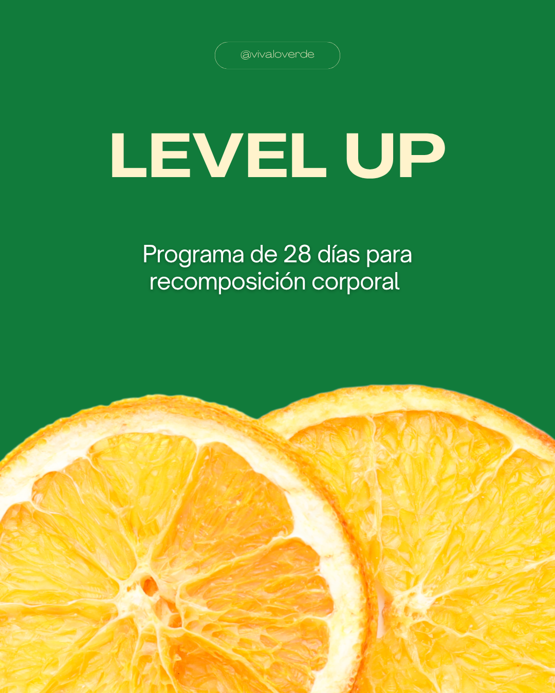 Level Up Program