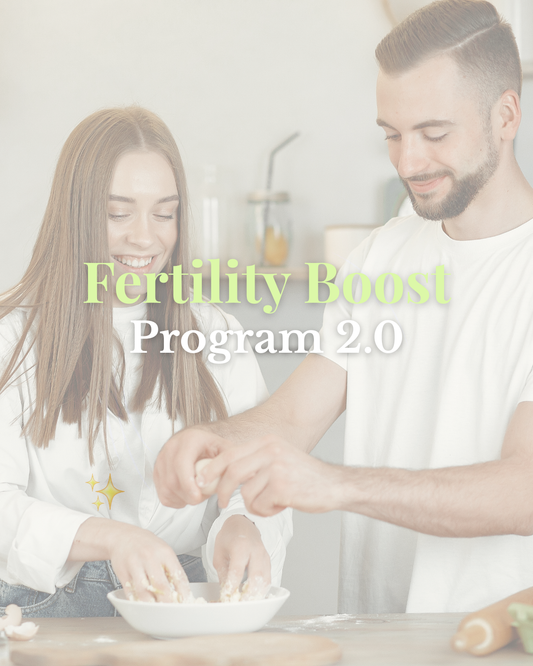 Fertility Boost Program 2.0