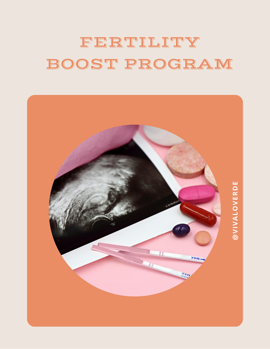 Fertility Boost Program ✨