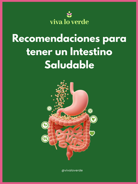 Recomendaciones para un intestino saludable
